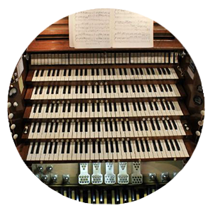 Organ Link